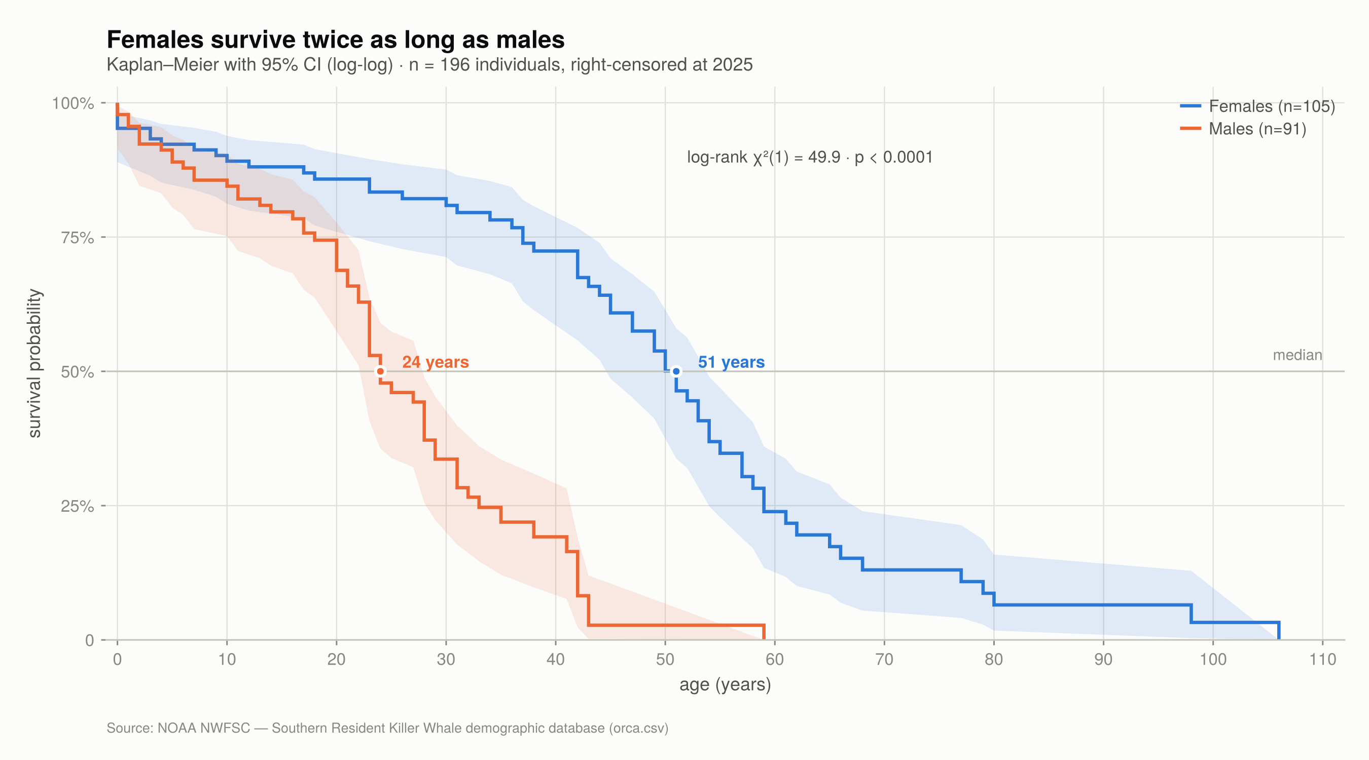 Kaplan–Meier survival curves by sex with 95% confidence bands: females with a median of 51 years and males with a median of 24 years