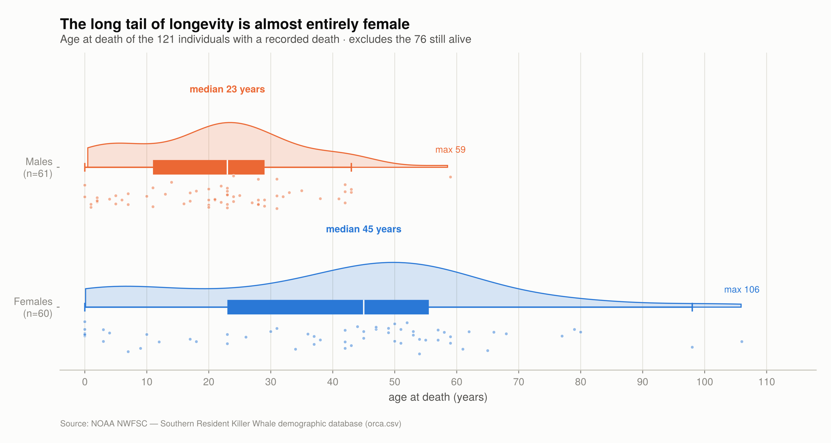 Violin and box plots of age at death for females and males, with individual points overlaid; females with median 45 years and maximum 106, males with median 23 and maximum 59