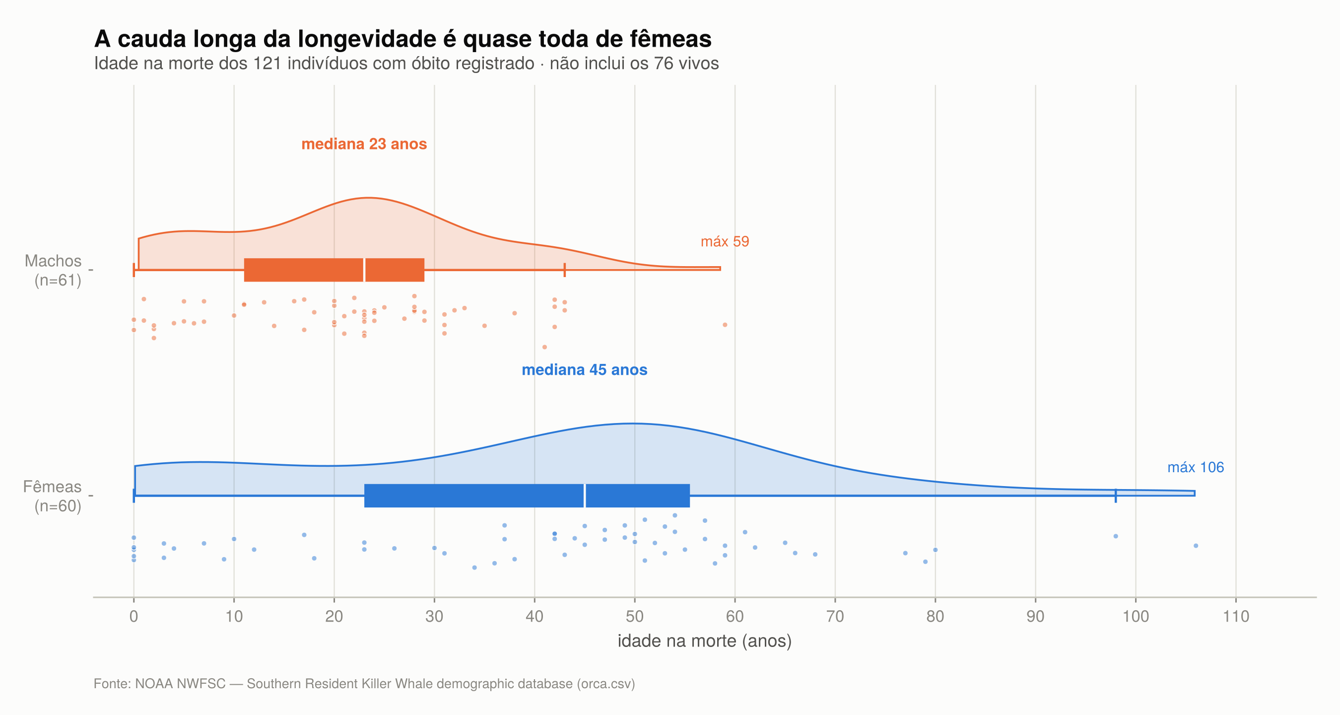 Gráficos de violino e boxplot da idade na morte de fêmeas e machos, com pontos individuais sobrepostos; fêmeas com mediana 45 anos e máximo 106, machos com mediana 23 e máximo 59