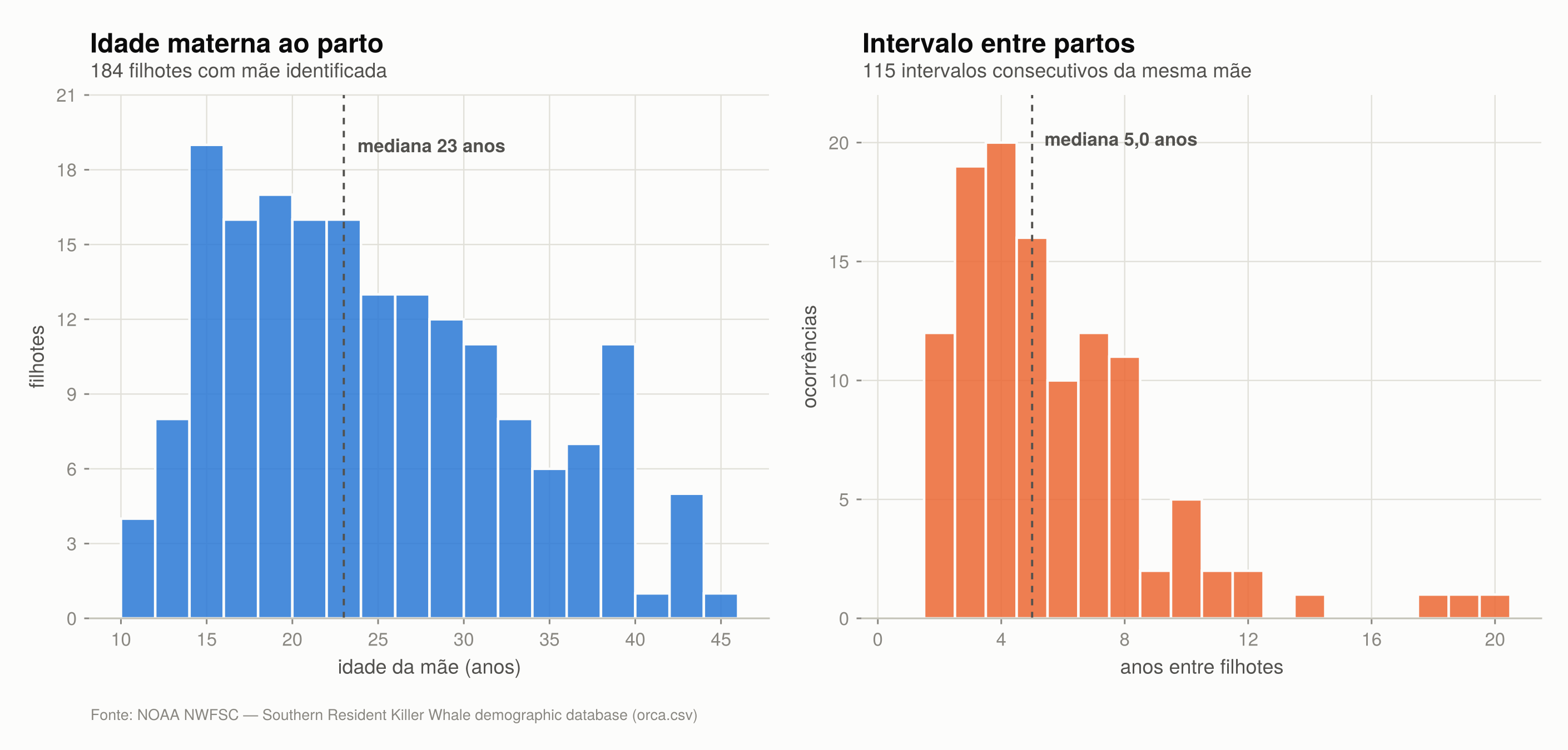 Dois histogramas lado a lado: idade da mãe no parto, com mediana de 23 anos e faixa de 10 a 45; e intervalo entre partos sucessivos da mesma mãe, com mediana de 5 anos
