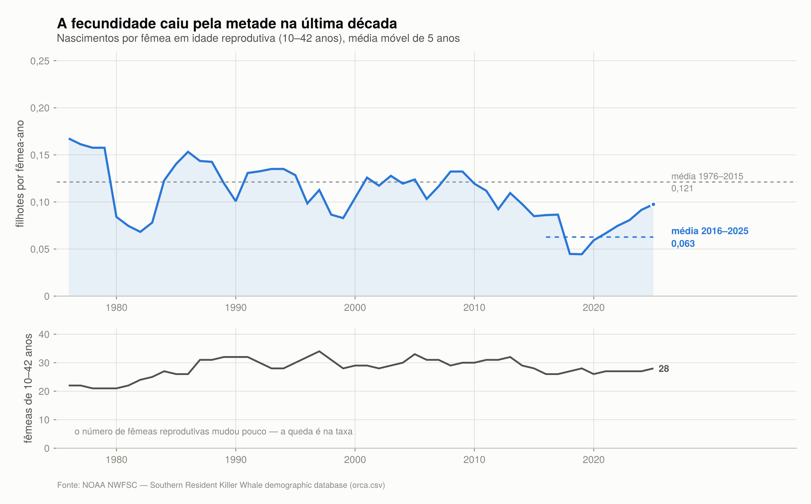 Acima, nascimentos por fêmea em idade reprodutiva em média móvel de cinco anos, caindo de 0,121 para 0,063; abaixo, número de fêmeas de 10 a 42 anos, que varia pouco ao longo da série
